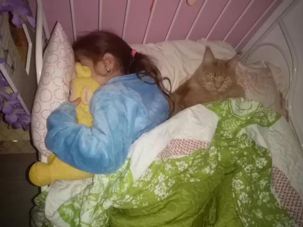 Stormborn Lynx Enjoy Life Lola